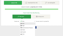 WordPress XML Import